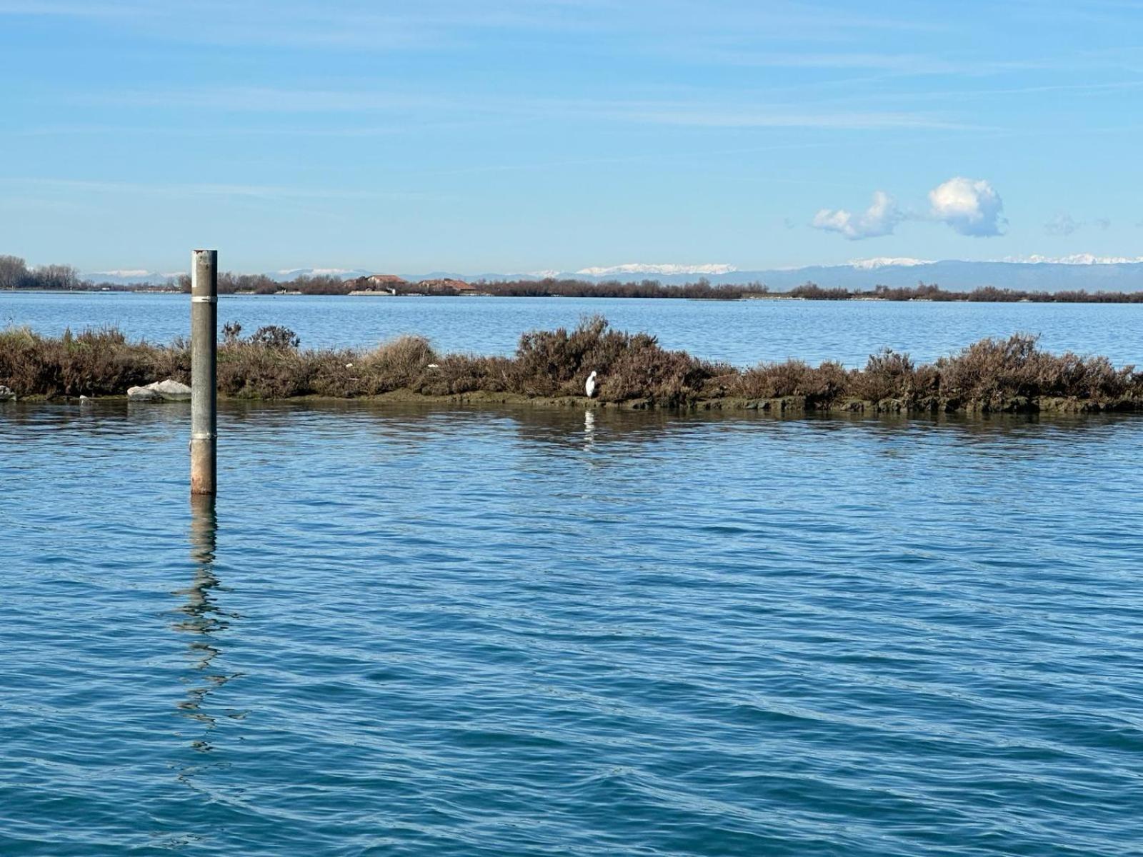 Floating * Grado